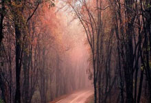 九游会体育：2016年5月以来德国队攻入27粒头球，其中13球由基米希助攻.