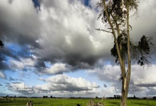 2025年01月11日球会友谊HB克厄vs北西兰后备队历史战绩，交战记录，比分预测.