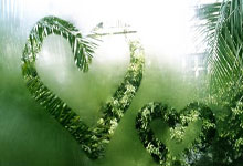 九游会体育：2016年5月以来德国队攻入27粒头球，其中13球由基米希助攻.