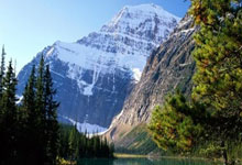 九游会体育：18岁的全红婵手握27个冠军！吐露生日愿望，网友：不管多大都还是“婵宝”.