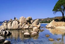 2024—2025赛季全国雪车及钢架雪车锦标赛落幕人民日报海外.